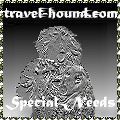 travelhound graphic link to archived website