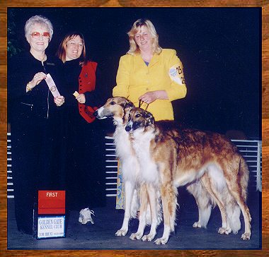 T and Lucy will Group I brace at the Cow Palace Golden Gate KC - AKC dog show photo Borzoi