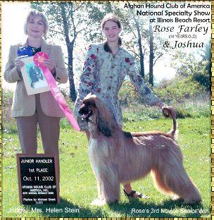 Rose Farley Edwin Farley wins AKC 1st place Novice Junior Handler at  Afghan Hound Club of Greater Detroit Specialty - AKC dog show - photo judge Shelley Hennessee judge with Hosanna Hell Trembles 'Joshua' Afghan Hound