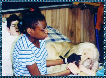 Davey gives a young autistic girl love - David Sings Hosanna AKC registered and certified therapy and service dog - photo