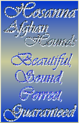 Hosanna Afghan Hounds - Beautiful, Sound, Correct, Guaranteed - custom gif graphic by AAAWWW