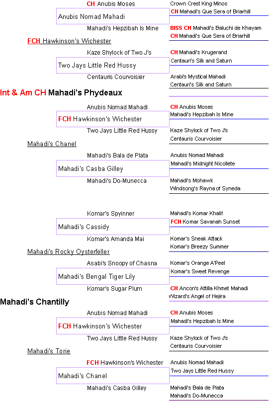 pedigree AKC registered afghan hound Mahadi's Tuxedo - gif graphic, champion bloodlines include International American CH Mahadi's Phydeaux, FCH Hawkinson's Winchester (field champion), Anubis, Ancon 