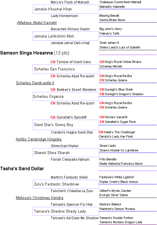 AKC registered Afghan Hound pedigree with Champion bloodlines for Hosanna Precious Gift, CH lines include CH Tymbar of Giant Oaks, Scharlau, CH Bombey's Desert Wanderer, Dureigh,Ch Kings Royal Ra-Bul, Mecca, Arabi, Sanallah, Persia's, Kabik's, Ben-Ghazi