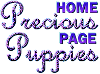 Precious Puppies - custom gif graphic by AAA World Wide Web Design