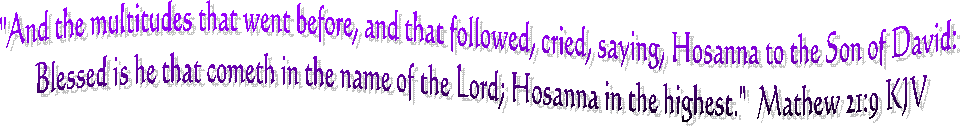 "And the multitudes that went before, and that followed, cried, saying, Hosanna to the Son of David: Blessed is he that cometh in the name of the Lord; Hosanna in the highest."  Mathew 21:9 KJV